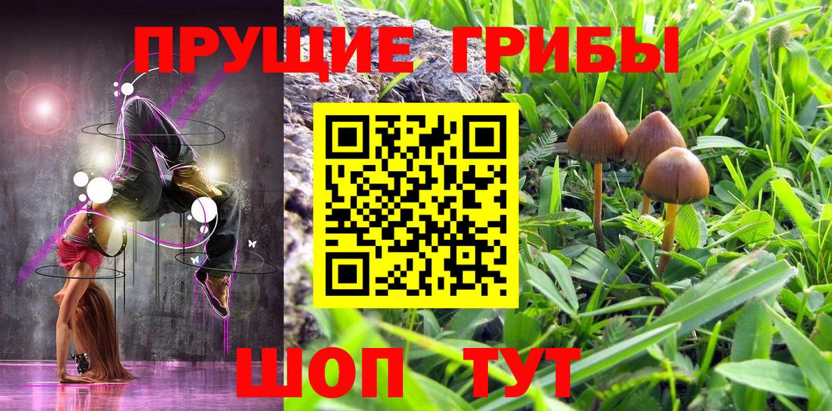 Комсомольск-на-Амуре  Псилоцибиновые грибы прущие грибы  Вход с VPN  Галлюциногенные грибы GOLDEN TEACHER 